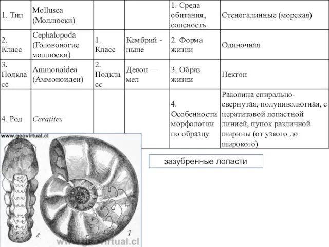 зазубренные лопасти