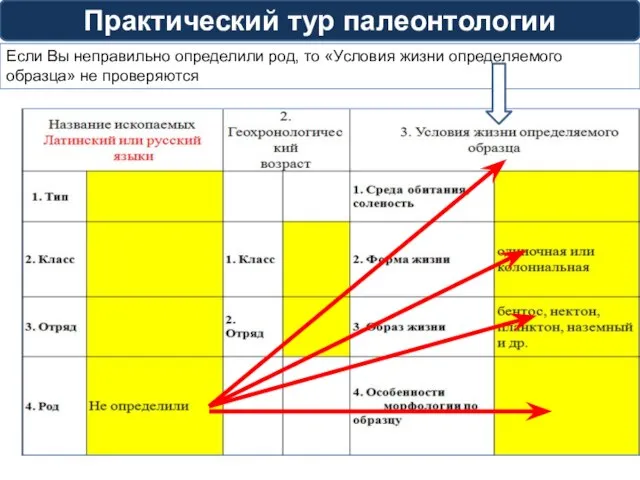 Практический тур палеонтологии Если Вы неправильно определили род, то «Условия жизни определяемого образца» не проверяются