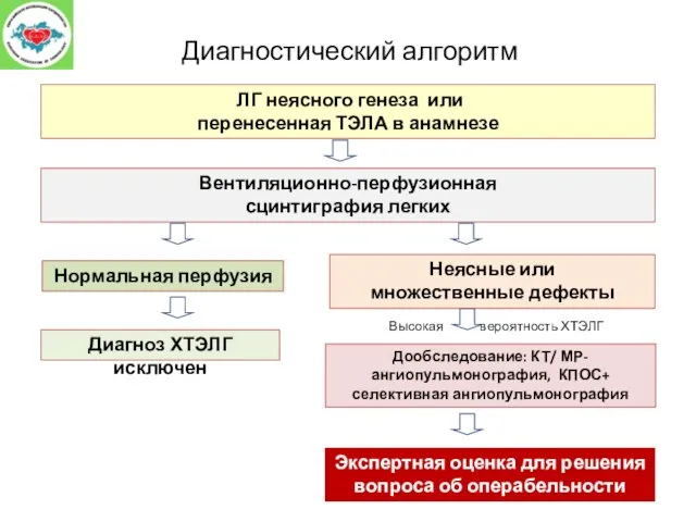 Диагностический алгоритм ЛГ неясного генеза или перенесенная ТЭЛА в анамнезе Вентиляционно-перфузионная сцинтиграфия