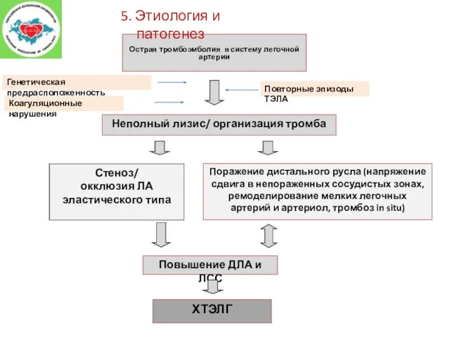 Острая тромбоэмболия в систему легочной артерии Неполный лизис/ организация тромба Стеноз/ окклюзия