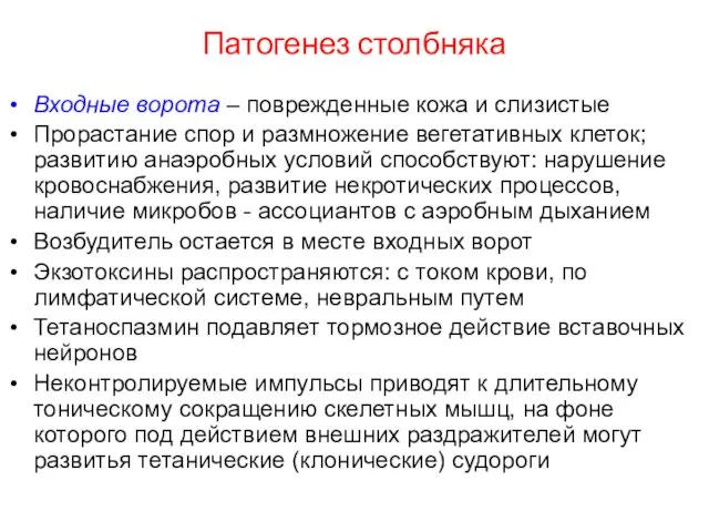 Патогенез столбняка Входные ворота – поврежденные кожа и слизистые Прорастание спор и