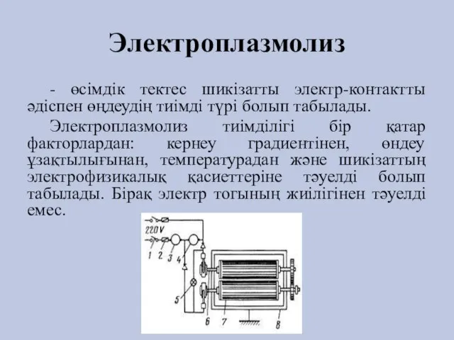 Электроплазмолиз - өсімдік тектес шикізатты электр-контактты әдіспен өңдеудің тиімді түрі болып табылады.