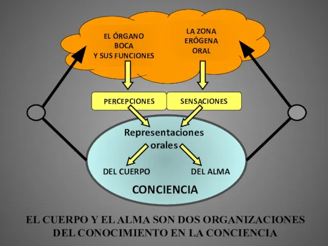 EL ÓRGANO BOCA Y SUS FUNCIONES LA ZONA ERÓGENA ORAL CONCIENCIA DEL