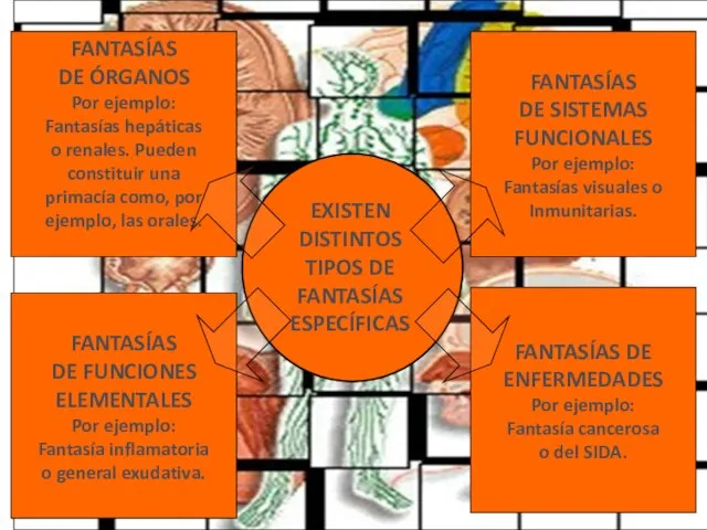 FANTASÍAS DE ÓRGANOS Por ejemplo: Fantasías hepáticas o renales. Pueden constituir una