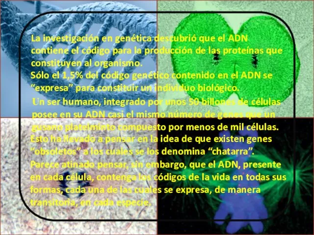 La investigación en genética descubrió que el ADN contiene el código para