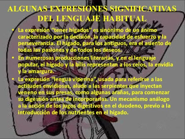 ALGUNAS EXPRESIONES SIGNIFICATIVAS DEL LENGUAJE HABITUAL La expresión “tener hígados” es sinónimo