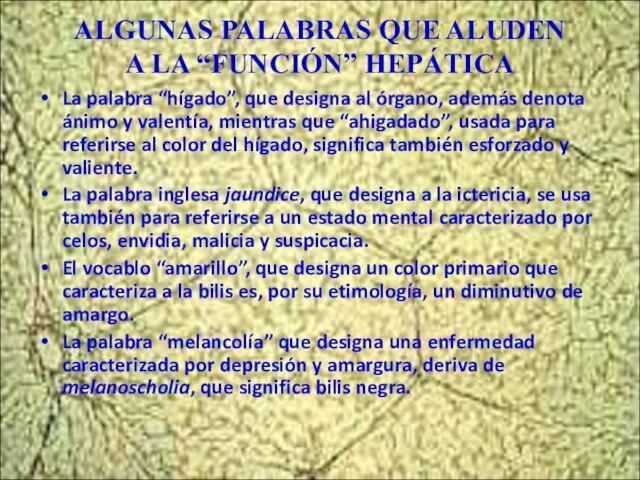 ALGUNAS PALABRAS QUE ALUDEN A LA “FUNCIÓN” HEPÁTICA La palabra “hígado”, que