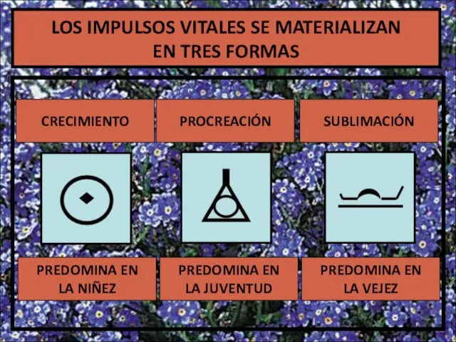 LOS IMPULSOS VITALES SE MATERIALIZAN EN TRES FORMAS CRECIMIENTO PROCREACIÓN SUBLIMACIÓN PREDOMINA