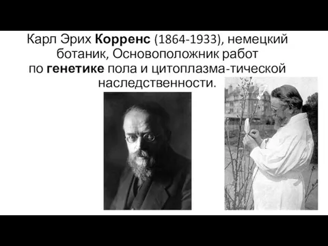 Карл Эрих Корренс (1864-1933), немецкий ботаник, Основоположник работ по генетике пола и цитоплазма-тической наследственности.