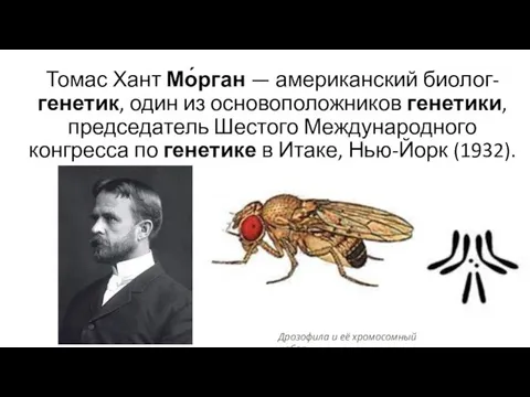 Томас Хант Мо́рган — американский биолог-генетик, один из основоположников генетики, председатель Шестого