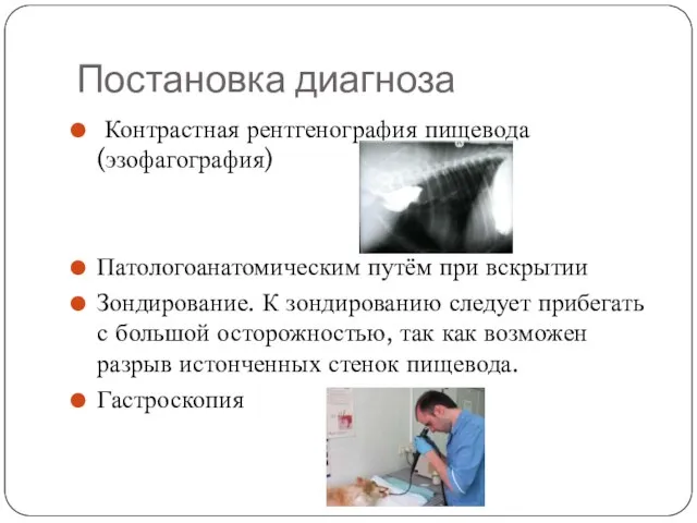 Постановка диагноза Контрастная рентгенография пищевода (эзофагография) Патологоанатомическим путём при вскрытии Зондирование. К