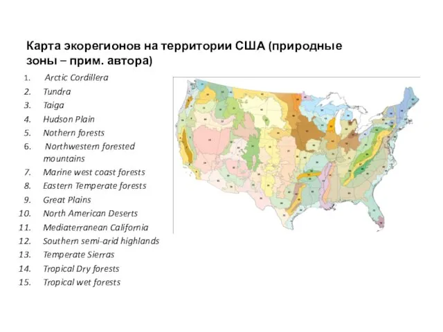 Карта экорегионов на территории США (природные зоны – прим. автора) Arctic Cordillera