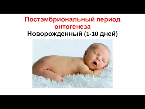 Постэмбриональный период онтогенеза Новорожденный (1-10 дней)