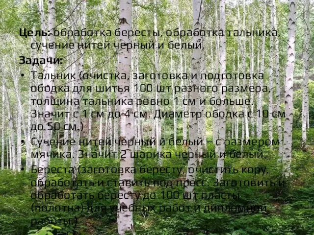 Цель: обработка бересты, обработка тальника, сучение нитей черный и белый. Задачи: Тальник