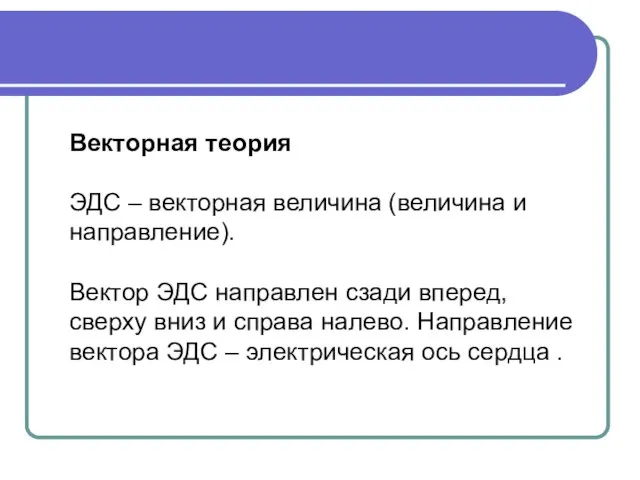 Векторная теория ЭДС – векторная величина (величина и направление). Вектор ЭДС направлен