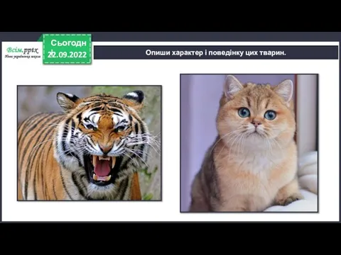 22.09.2022 Сьогодні Опиши характер і поведінку цих тварин.