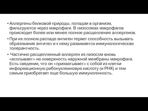 Аллергены белковой природы, попадая в организм, фильтруются через макрофаги. В лизосомах макрофагов