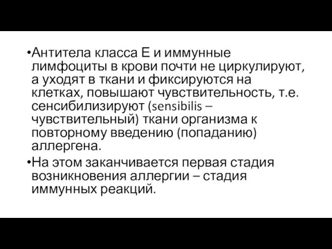 Антитела класса Е и иммунные лимфоциты в крови почти не циркулируют, а