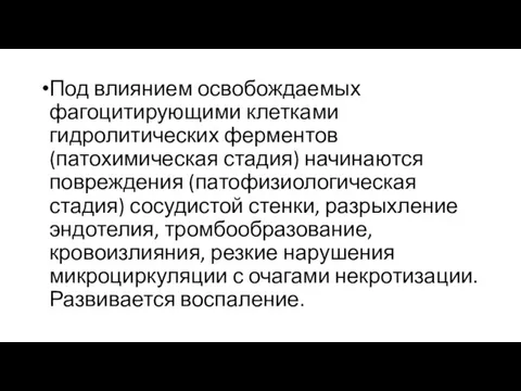 Под влиянием освобождаемых фагоцитирующими клетками гидролитических ферментов (патохимическая стадия) начинаются повреждения (патофизиологическая