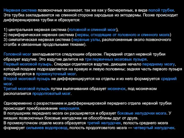 Нервная система позвоночных возникает, так же как у бесчерепных, в виде полой