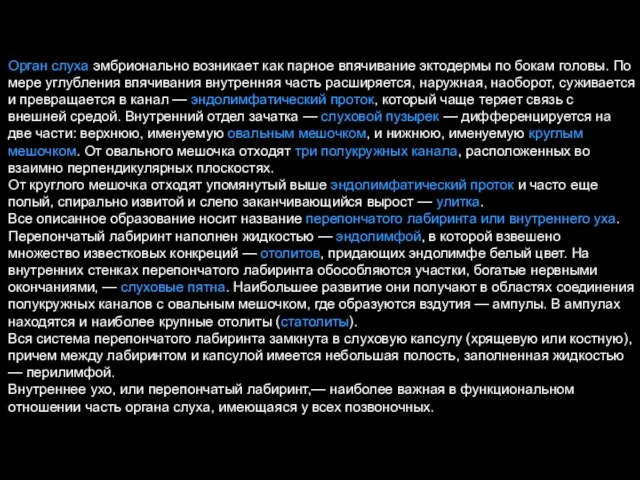 Орган слуха эмбрионально возникает как парное впячивание эктодермы по бокам головы. По