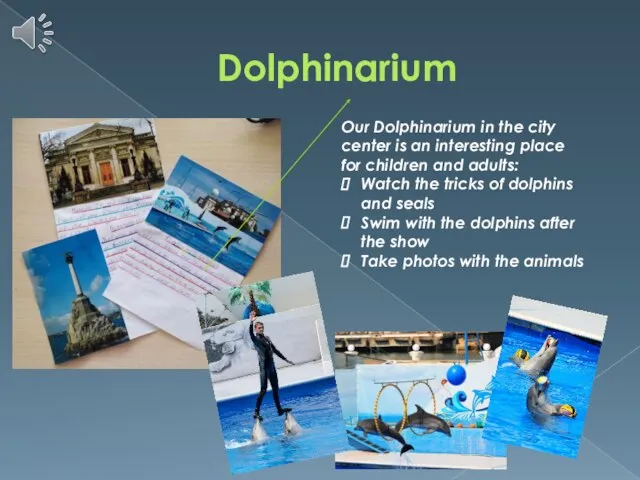 Dolphinarium Our Dolphinarium in the city center is an interesting place for