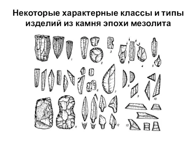 Некоторые характерные классы и типы изделий из камня эпохи мезолита