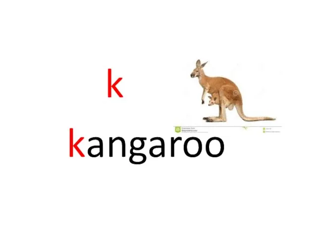 k kangaroo