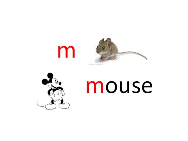 m mouse