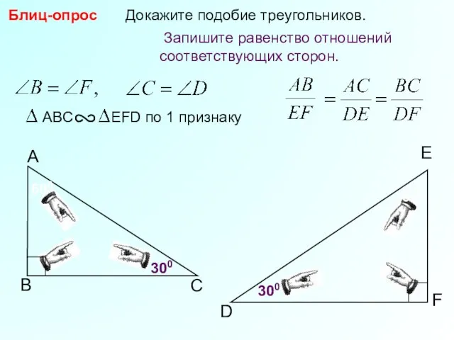 В А С F D Докажите подобие треугольников. E 300 600 Блиц-опрос