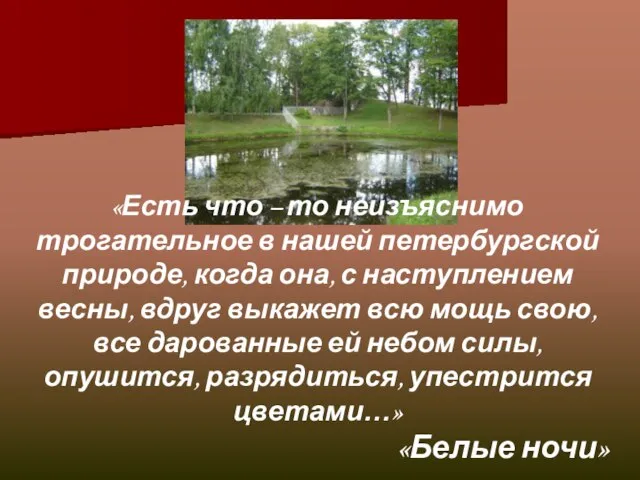 «Есть что – то неизъяснимо трогательное в нашей петербургской природе, когда она,