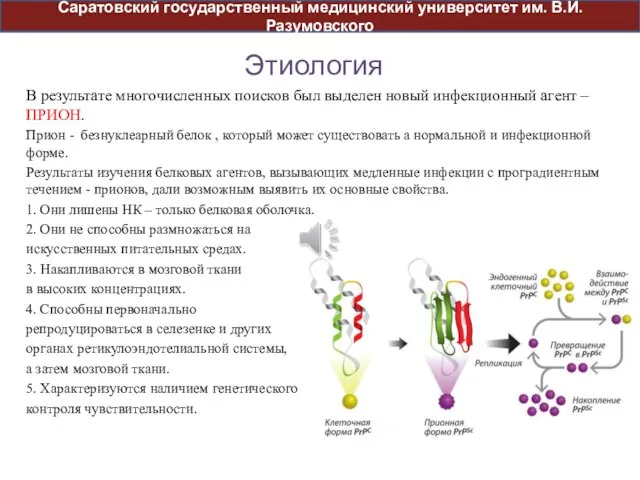 Этиология В результате многочисленных поисков был выделен новый инфекционный агент – ПРИОН.