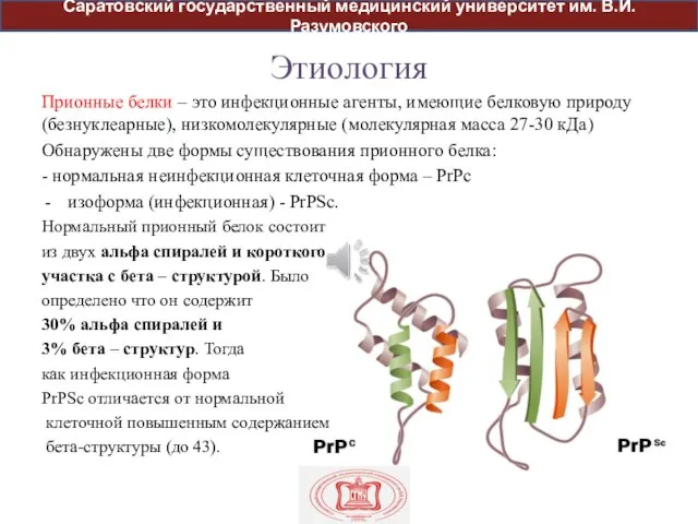 Этиология Прионные белки – это инфекционные агенты, имеющие белковую природу (безнуклеарные), низкомолекулярные