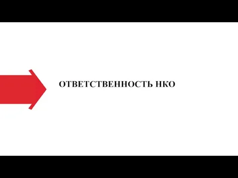 ОТВЕТСТВЕННОСТЬ НКО