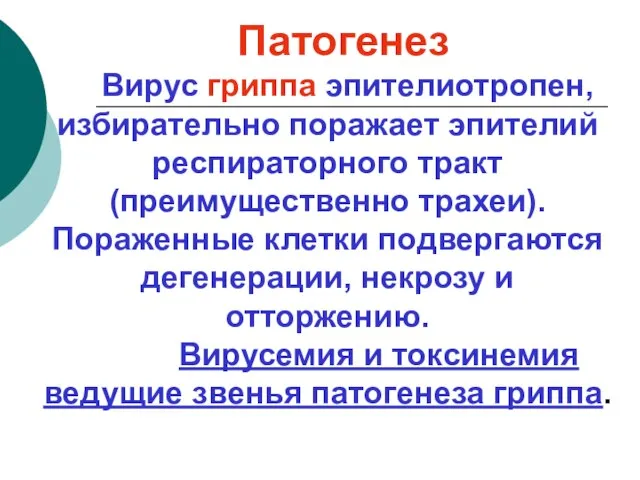 Патогенез Вирус гриппа эпителиотропен, избирательно поражает эпителий респираторного тракт (преимущественно трахеи). Пораженные