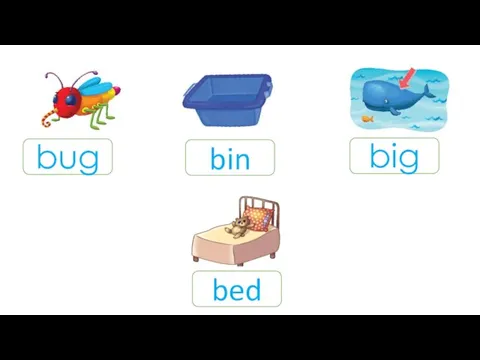 bug bin bed big