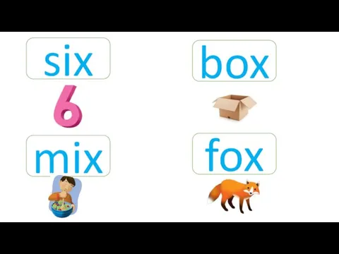 six mix box fox