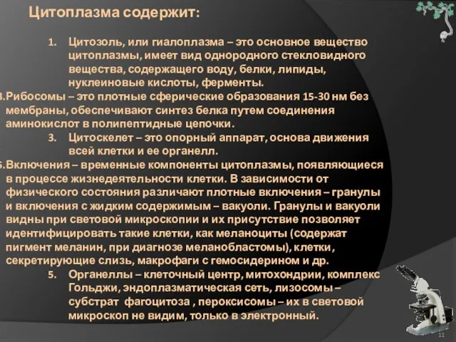 Цитоплазма содержит: Цитозоль, или гиалоплазма – это основное вещество цитоплазмы, имеет вид