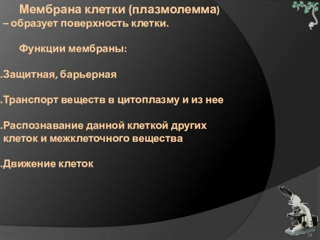 Мембрана клетки (плазмолемма) – образует поверхность клетки. Функции мембраны: Защитная, барьерная Транспорт