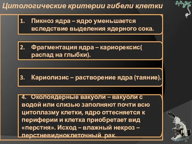 Цитологические критерии гибели клетки