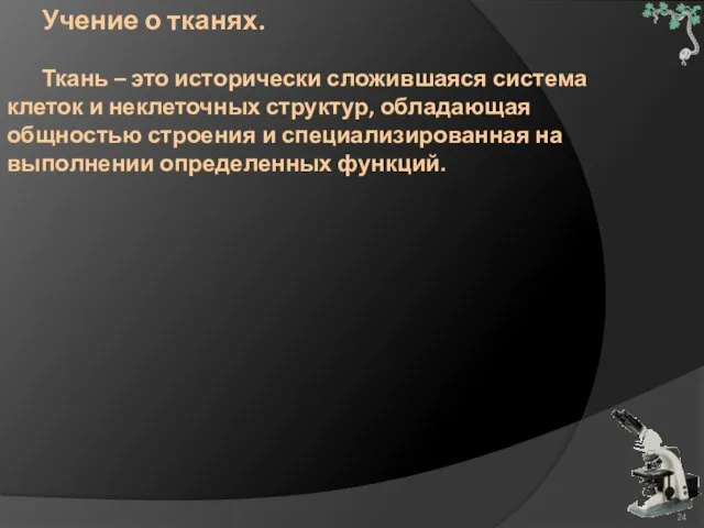 Учение о тканях. Ткань – это исторически сложившаяся система клеток и неклеточных