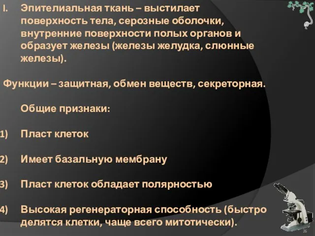 Эпителиальная ткань – выстилает поверхность тела, серозные оболочки, внутренние поверхности полых органов