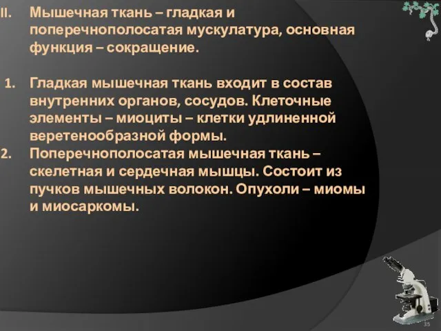 Мышечная ткань – гладкая и поперечнополосатая мускулатура, основная функция – сокращение. 1.