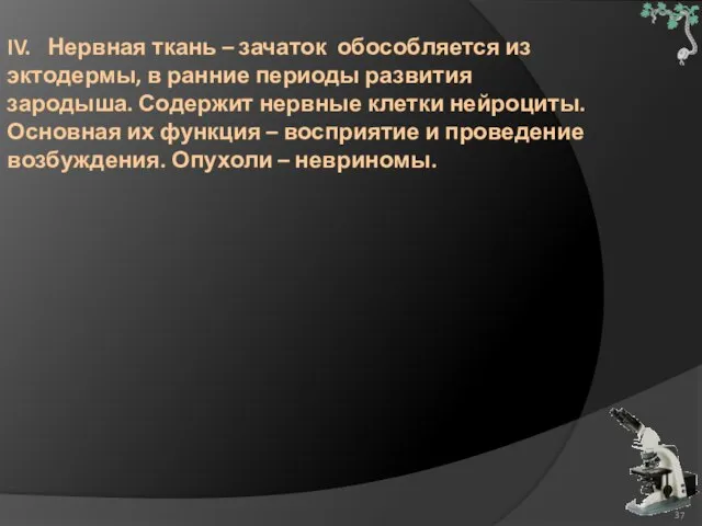 IV. Нервная ткань – зачаток обособляется из эктодермы, в ранние периоды развития