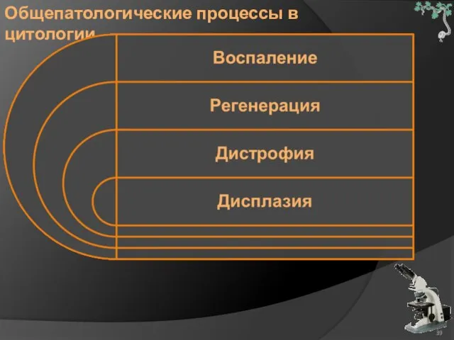 Общепатологические процессы в цитологии.