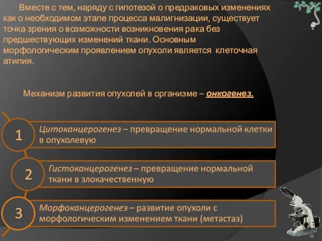 Вместе с тем, наряду с гипотезой о предраковых изменениях как о необходимом