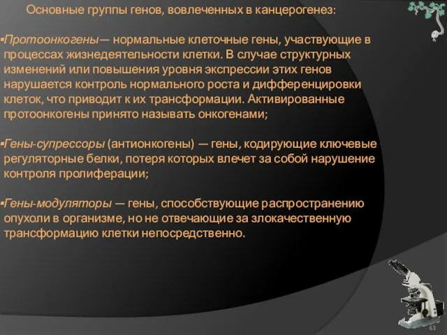 Основные группы генов, вовлеченных в канцерогенез: Протоонкогены— нормальные клеточные гены, участвующие в