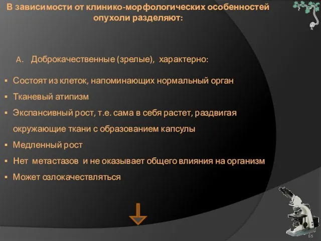 В зависимости от клинико-морфологических особенностей опухоли разделяют: Доброкачественные (зрелые), характерно: Состоят из