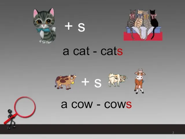 + s a cat - cats + s a cow - cows