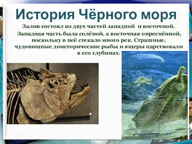 История Чёрного моря Залив состоял из двух частей западной и восточной. Западная